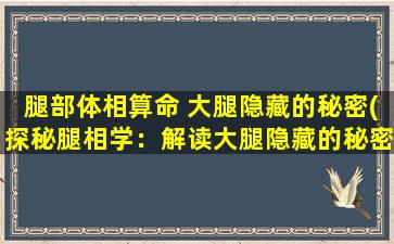 腿部体相算命 大腿隐藏的秘密(探秘腿相学：解读大腿隐藏的秘密)